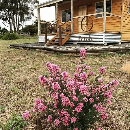 Bukirk Glamping & Luxury Cabins Clare Exterior photo