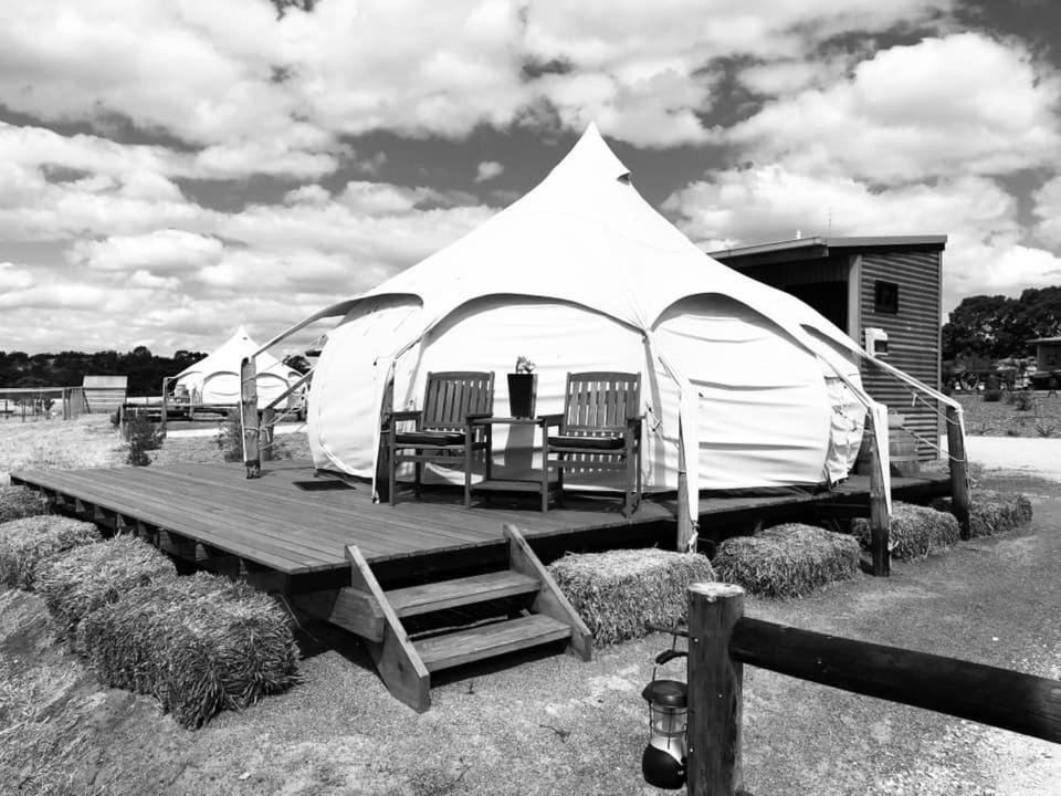 Bukirk Glamping & Luxury Luxury tent *