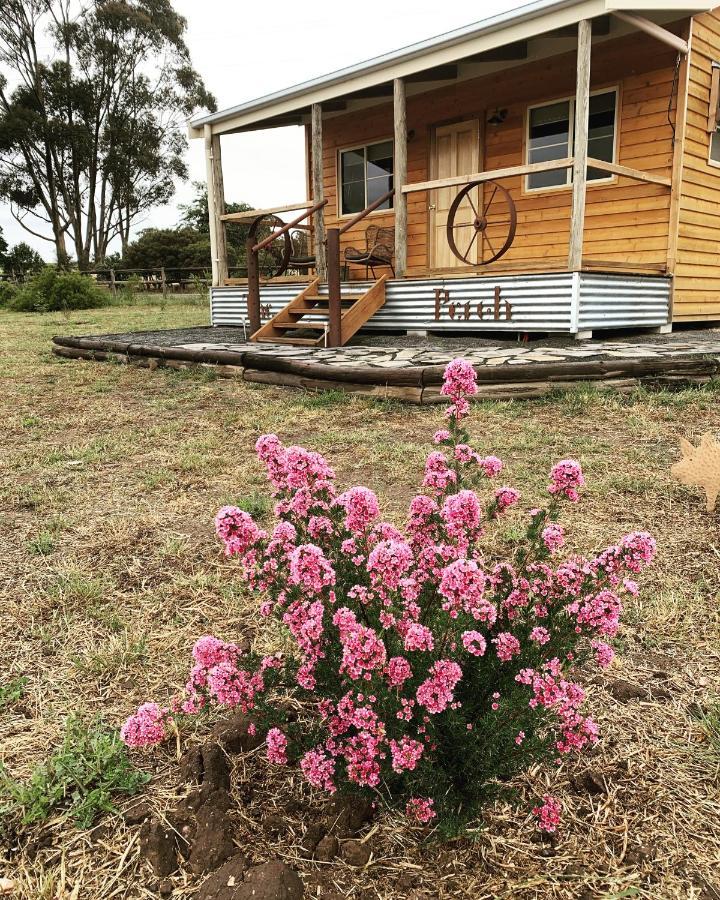 Luxury tent Bukirk Glamping & Luxury